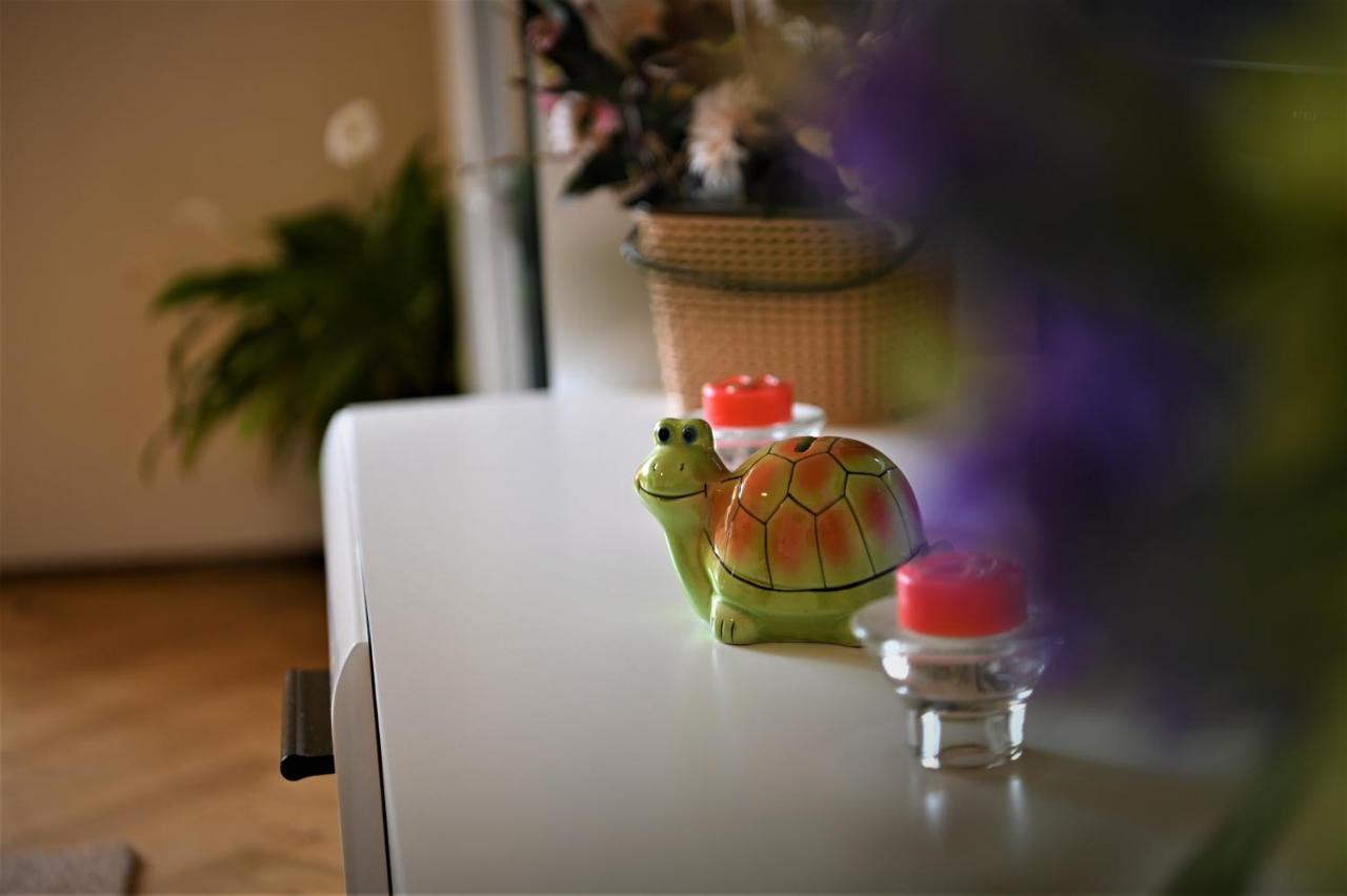 Appartement Marin Braşov